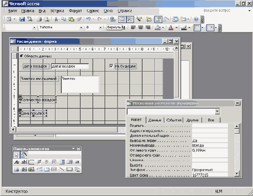   Microsoft Access 2003
