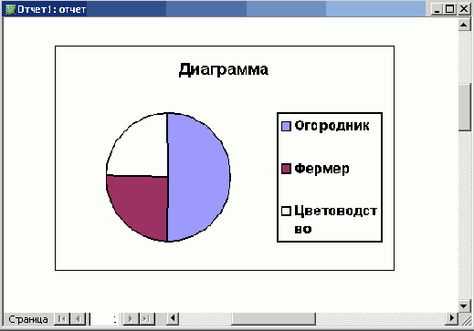   Microsoft Access 2003
