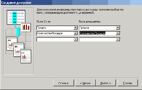   Microsoft Access 2003
