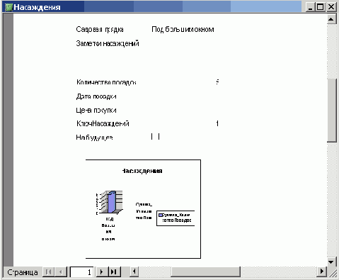   Microsoft Access 2003
