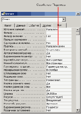   Microsoft Access 2003
