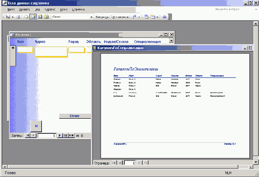   Microsoft Access 2003
