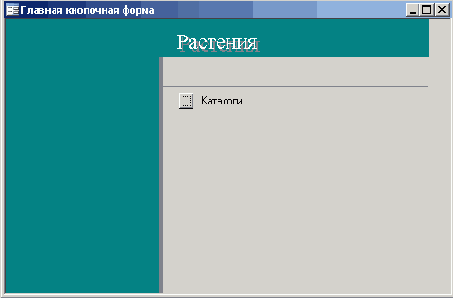   Microsoft Access 2003
