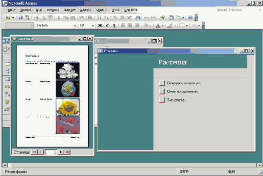   Microsoft Access 2003
