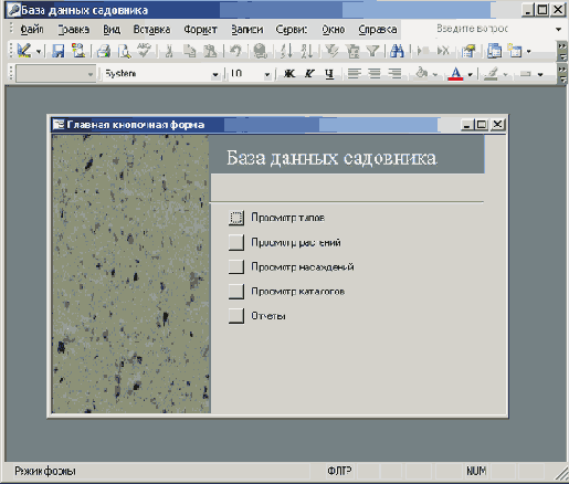   Microsoft Access 2003
