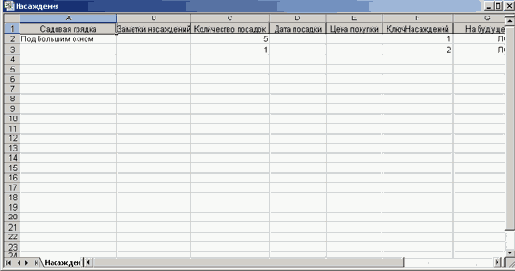   Microsoft Access 2003
