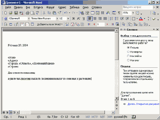   Microsoft Access 2003
