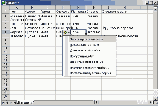   Microsoft Access 2003
