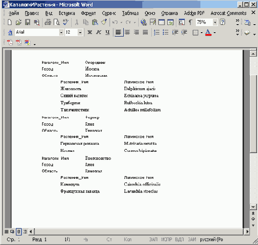   Microsoft Access 2003

