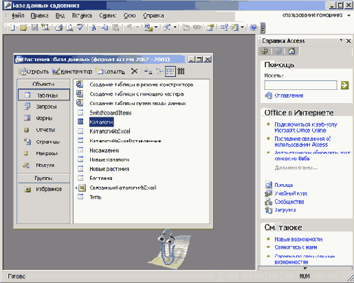   Microsoft Access 2003
