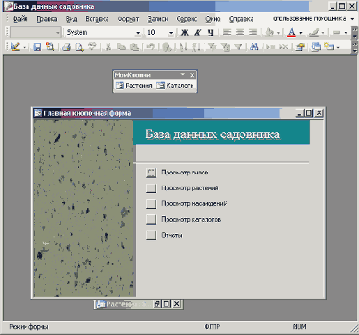   Microsoft Access 2003
