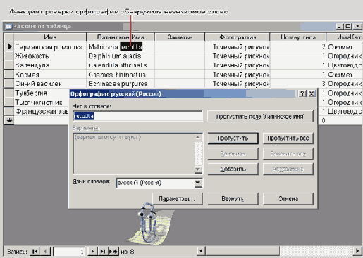  Microsoft Access 2003
