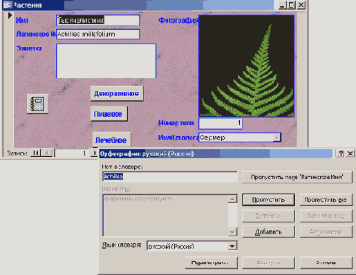   Microsoft Access 2003
