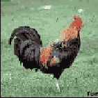     Lab